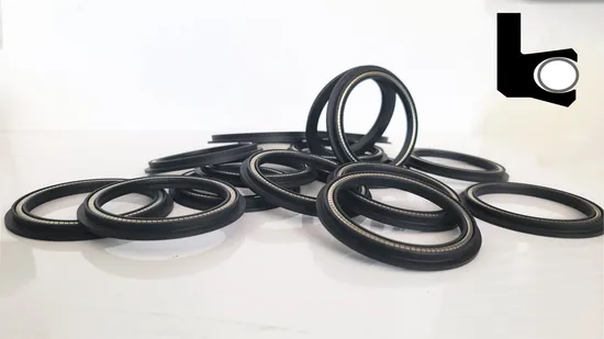 Premium PTFE Carbon Fiber Spring Seal Ring for High Performance